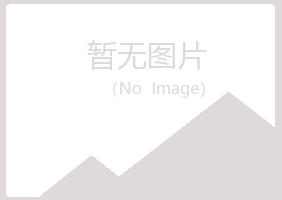 五大连池初夏计算机有限公司